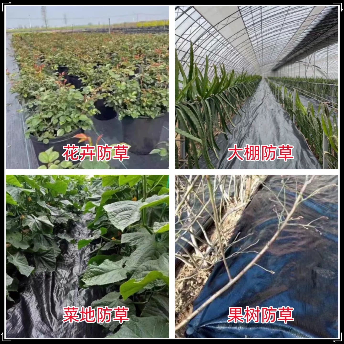 湘潭市po膜防草布 - 方案