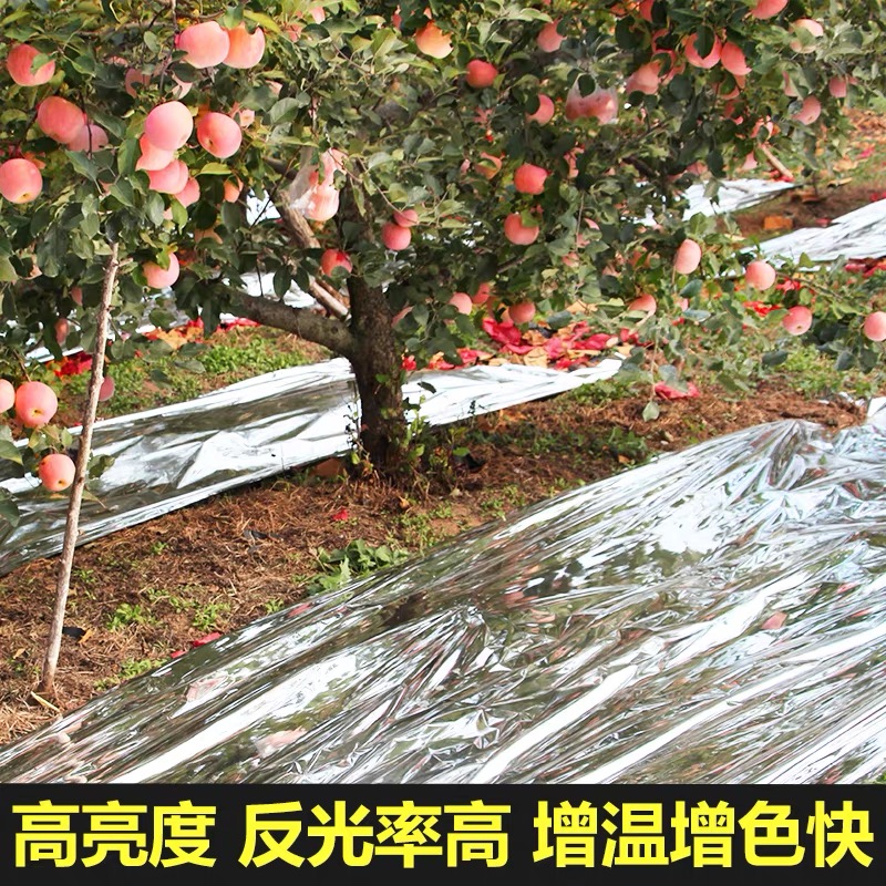 湘潭市果树反光膜果树反光膜 - 哪里好